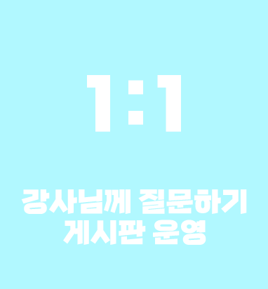 1:1 강사님께 질문하기 운영